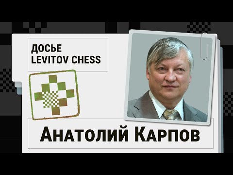 Video: Sokolov Maxim Yurievich: Biografi Om Transportministern