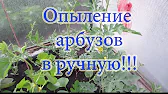 ПРОСТАЯ ЖИЗНЬ НА СЕЛЕ.