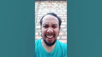 who you best #funny #dog #satisfying #cartoon #duet #508