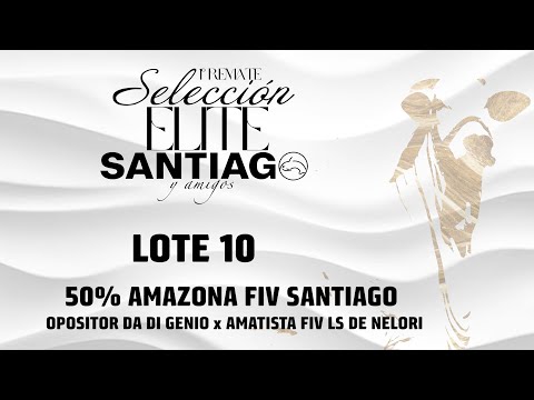 Lote 10   Amazona FIV Santiago