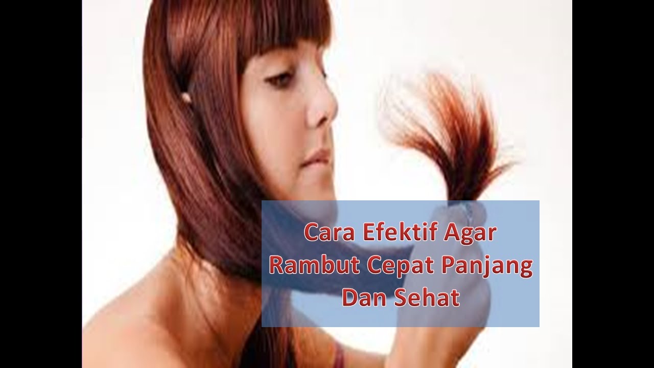 Cara Ampuh Agar Rambut Cepat Panjang Dan Sehat YouTube