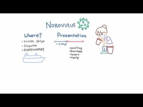 Norovirus - Epidemiology, Clinical Presentation, and Prevention 