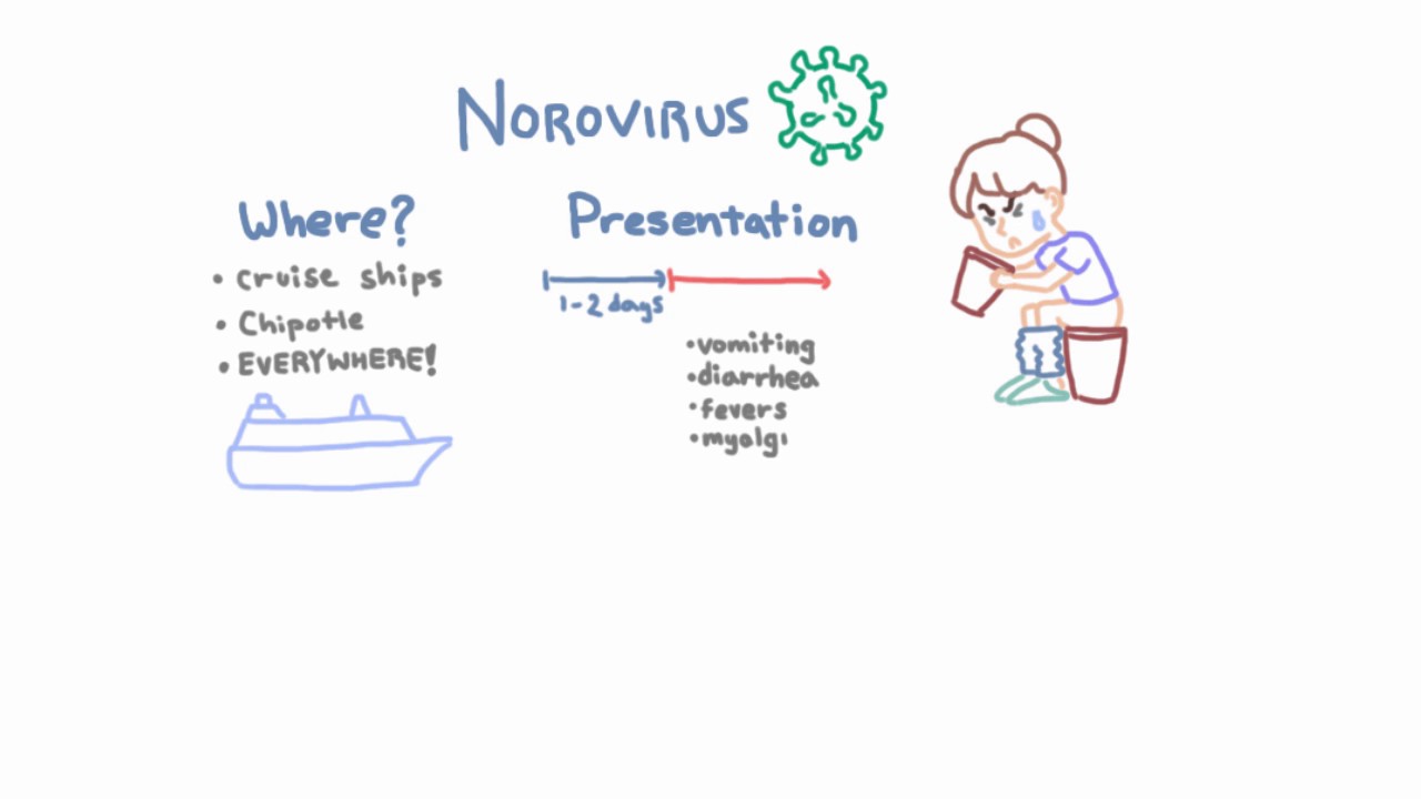 norovirus presentation prezi