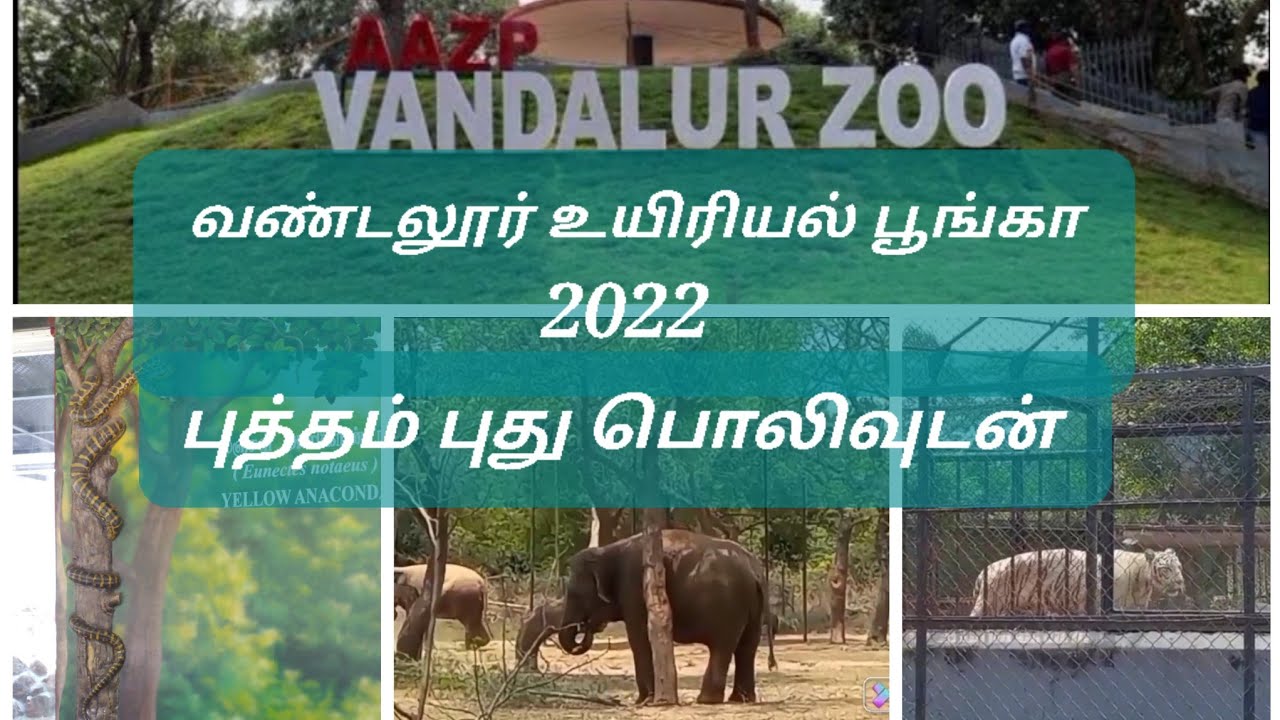 vandalur zoo essay in english