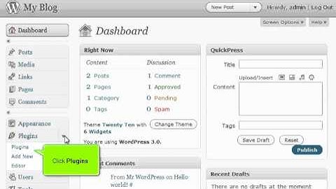 WordPress Tutorial #7: How to Manage Your Plugins