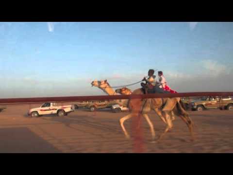 شوط الاشدة زمول المركز الاول كساب عودة مطلق العطوي