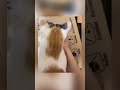 How to use your useless cat 🐈 ? #shorts #funnyshorts #funnymemes #viralshorts #cats