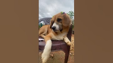 Please don’t scroll 🥲#shortvideo #foryou