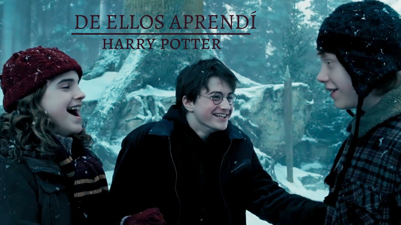 De Ellos Aprendi Harry Potter