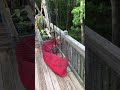 Deck gardening