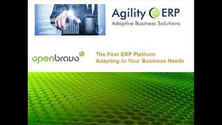 Adapting ERP to Your Business Needs with Agility ERP