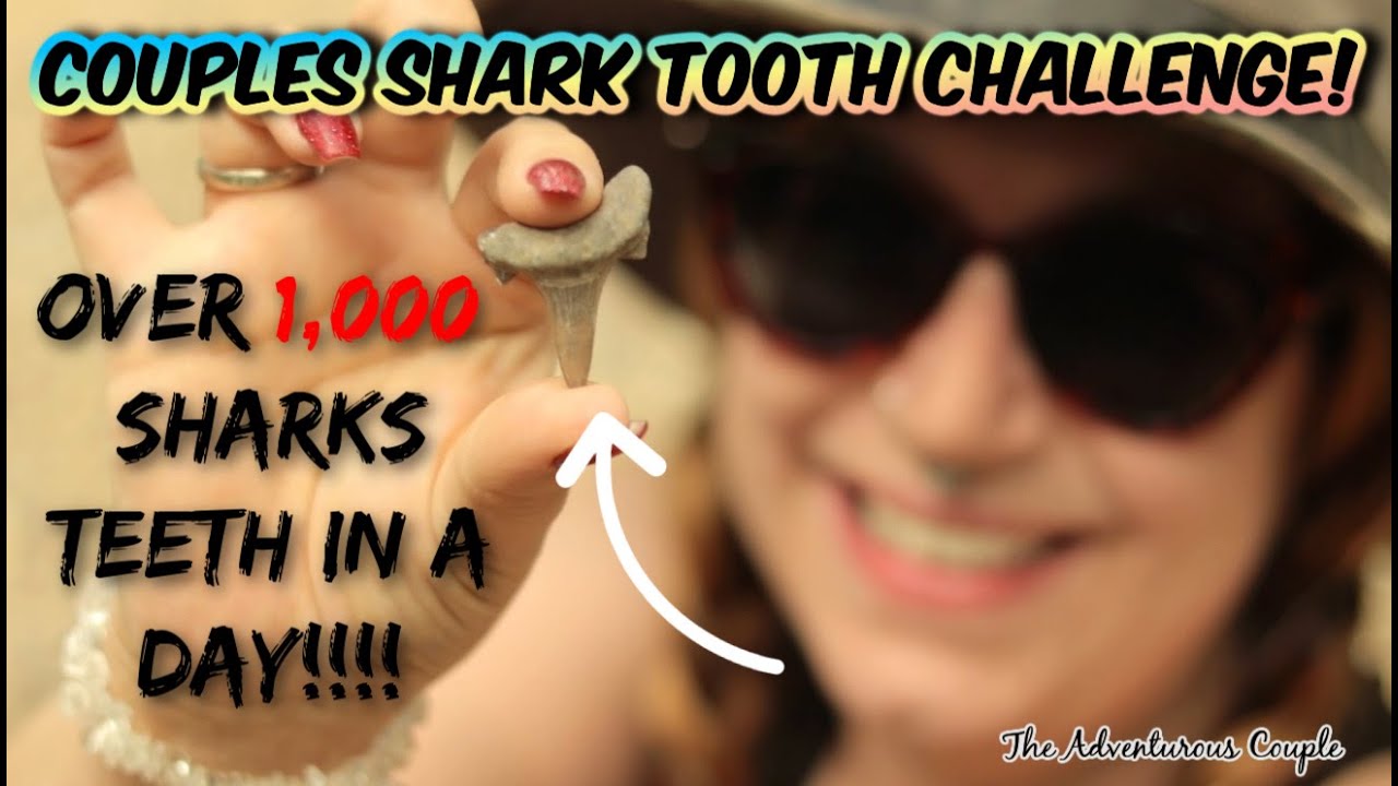 OVER 1,000 SHARK TEETH in 3 hours!! 🦈 - Post Oak Creek Sherman TX