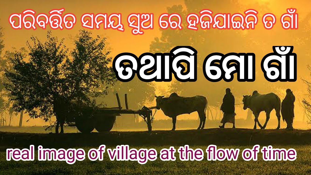 Best village kavita village song odia gain kabita odia village poem  kavita bijay Behera creation 