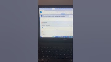 Danny - Sales - Notes & Attachments in SFDC
