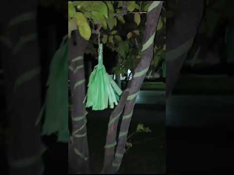 الاستعداد لحفله راس السنه