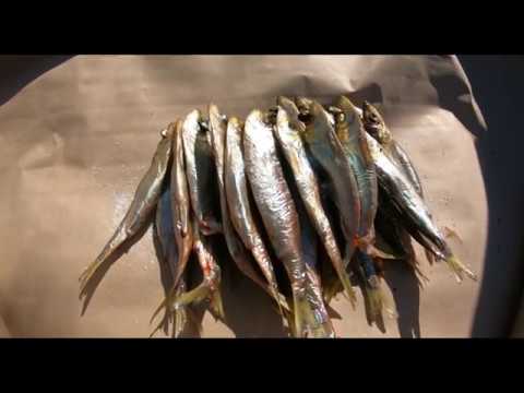 Video: Auksti Kūpināta Kūpinātava (67 Fotoattēli): Kā To Izdarīt Vasaras Mītnei, Iespējas Un Karstās Gatavošanas Metode, Rasējumi Un Izmēri