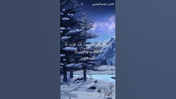 سورة الأنبياء ( ٦٤ - ٦٧) / ياسر الدوسري