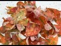 Making fall leaves with my giant Gelli Plate!