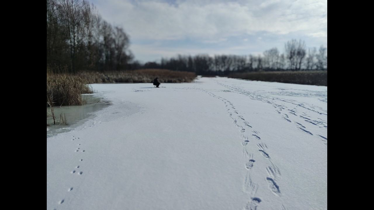 26 02 2026r BRZEŹCE