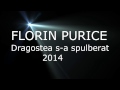 Florin Purice - Dragostea s-a spulberat ( HiT 2014 )