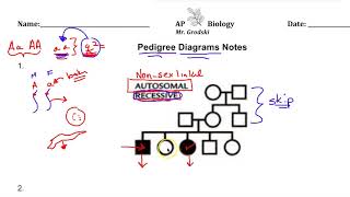 AP Biology Pedigree Diagram Lecture