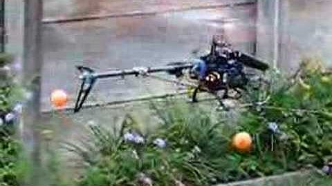 Trex 450 first hover