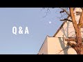 🥨 q&a: answering questions