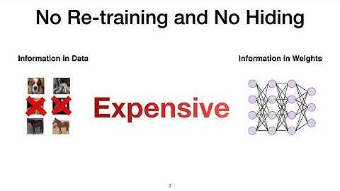 Eternal Sunshine of the Spotless Net: Selective Forgetting in Deep Networks