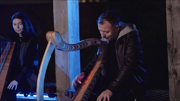 Uncover the Enchanting World of the Laser Harp at UCD's Evolution Garden