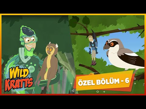 Kratt Kardeşler | 2 Bölüm Bir Arada - 6 | Çizgi Film | minikaGO