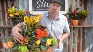 (westcoastgardens.ca) Jason loves his orange tones, and this planter just bursts with bright and bold hues ! With plants named "