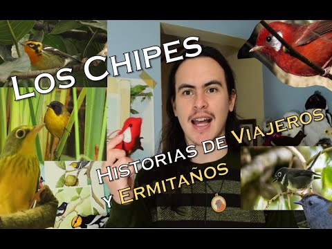 Crónicas del Chivizcoyo (historias de aves)