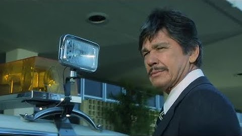 Amor e Balas - Charles Bronson - Dublado (1979)