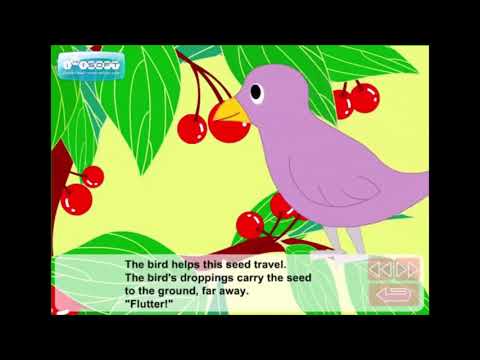 როგორ მრავლდება მცენარე თესლით