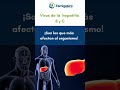 La hepatitis dispara las alertas de la OMS #doctor #estomago