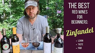 The Best Red Wines for Beginners Zinfandel YouTube