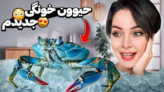 حیوون خونگی جدیدم 🦀😍سر و کله زدن باهاش سخت بود