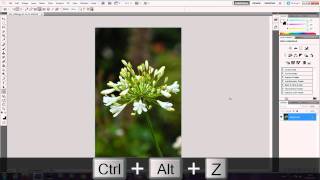 photoshop tutorial: simple borders and frames in photoshop