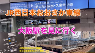 【JR西日本おおさか東線】大阪駅を見に行く