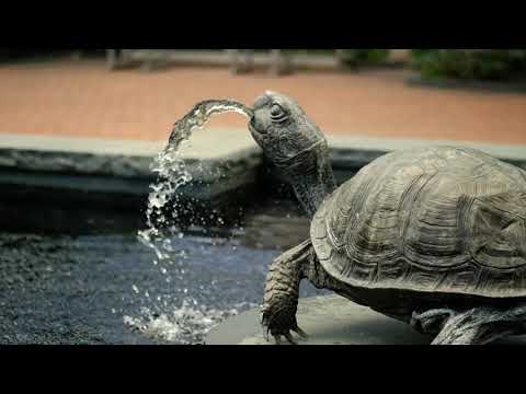 Discover Tower Hill Botanic Garden