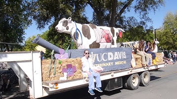 What is ASUCD? // Summer Orientation