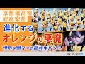 進化する「オレンジの悪魔」のマーチング 京都橘高校吹奏楽部、渾身のパフォーマンスの先に待っていたもの