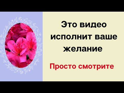 Это видео исполнит любое желание. Просто смотрите.