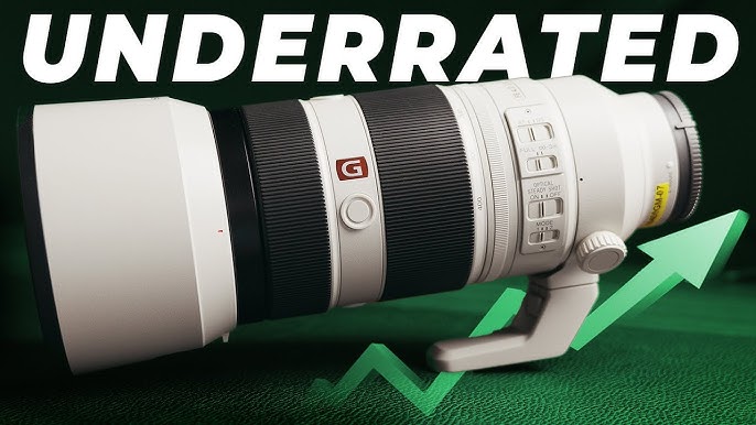 A7III and 100-400 GM - how did it come to this? — NaturePhocus