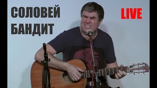 Соловей бандит [LIVE] | 2024