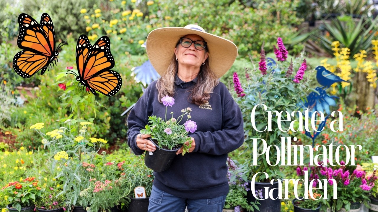 How to Create a Pollinator Garden That Attracts Birds and Butterflies ...