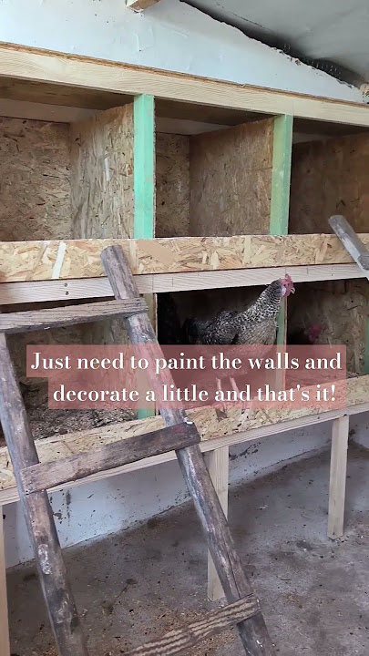 New nesting boxes!💪🏼🪚#nesting #chickencoop #chickens #chicken #diy #viral #shorts #youtubeshorts #4k