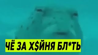 Чё за хуйня блять 10 часов