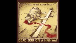 The Dad Horse Experience - Ganz war ich nie (with lyrics in German & English) chords