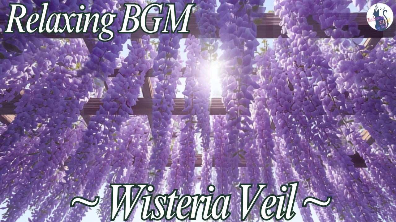 Wisteria Veil ~ Relaxing BGM for Study & Work ~ 1 Hour Instrumental adlı videoyu YouTube'da izle Wisteria Veil ~ Relaxing BGM for Study & Work ~ 1 Hour Instrumental adlı videoyu YouTube'da izle